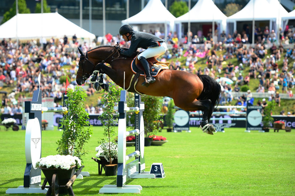 Chevaux de saut van de Kattevennen